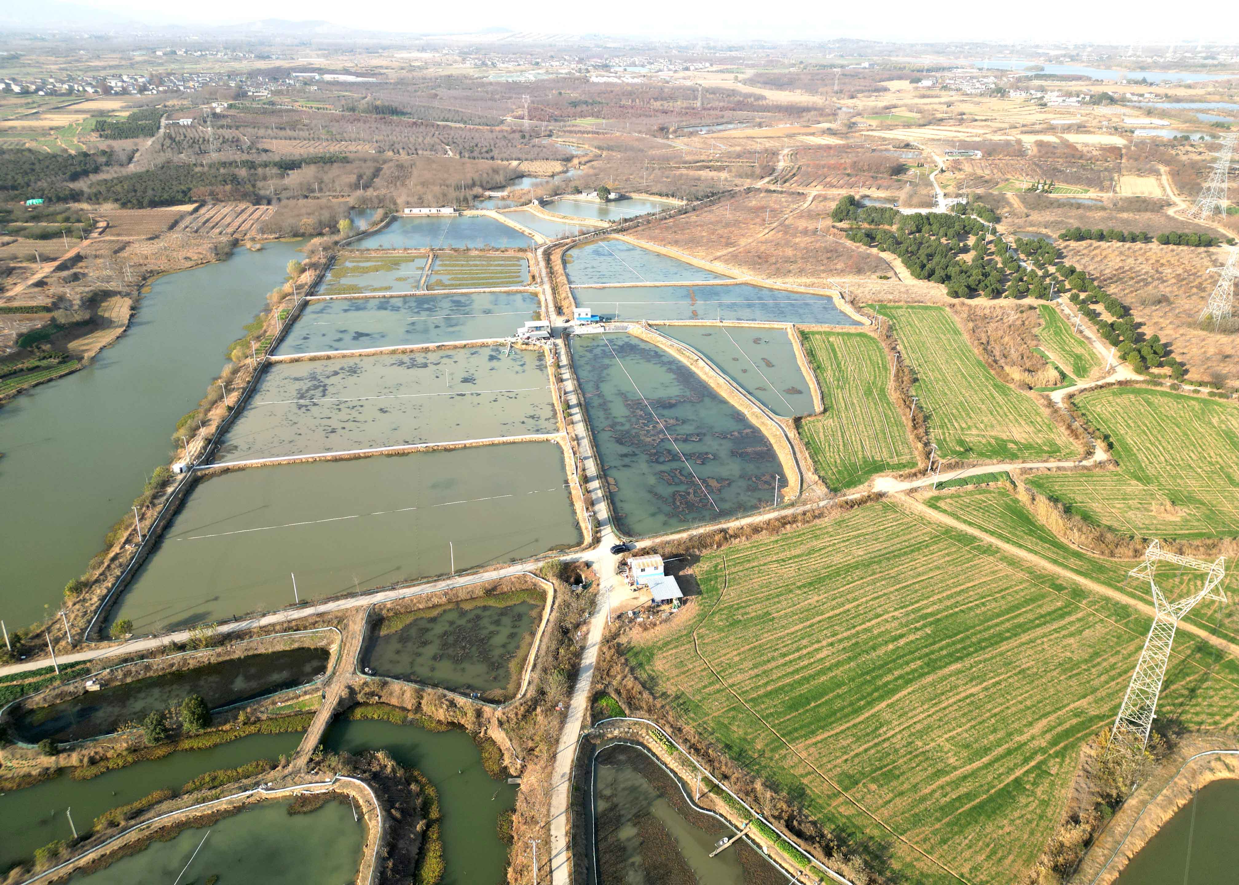 欧博abg - 官方网址登录入口