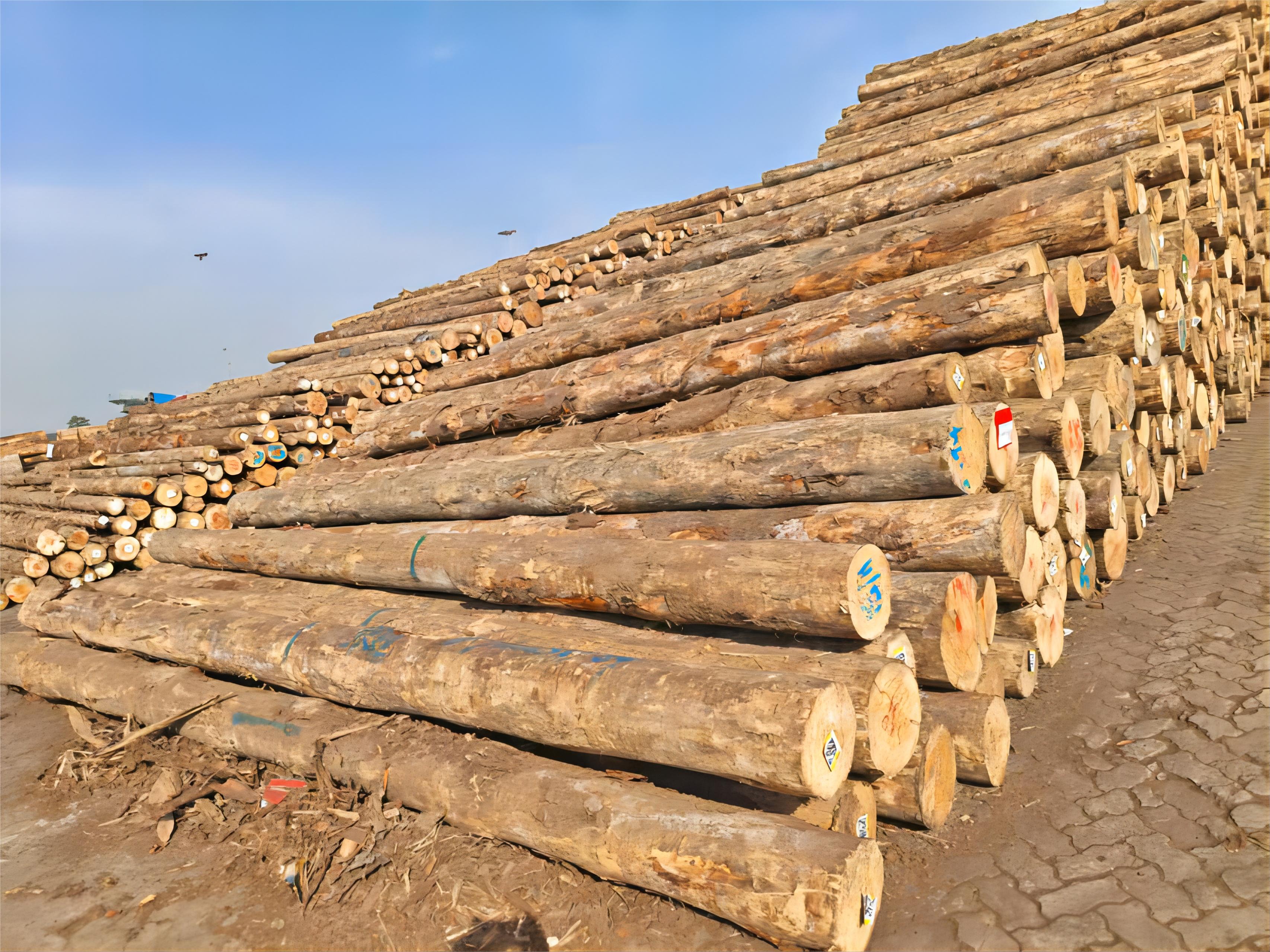 欧博abg - 官方网址登录入口