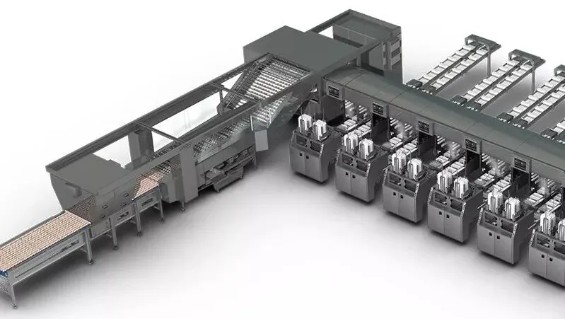 欧博abg - 官方网址登录入口