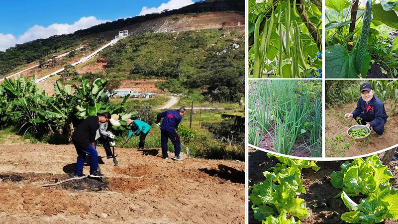 欧博abg - 官方网址登录入口